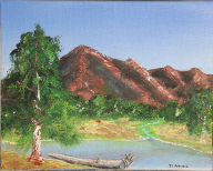 Sun's Pond